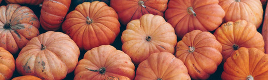 🎃 Décoration d’Halloween : prédestinée Potiron Paris - Potiron Paris